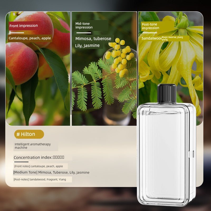 Automatic Aerosol Dispenser - aquila Bask