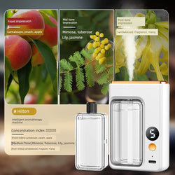 Automatic Aerosol Dispenser - aquila Bask