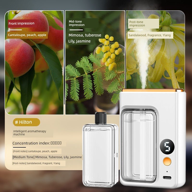 Automatic Aerosol Dispenser - aquila Bask