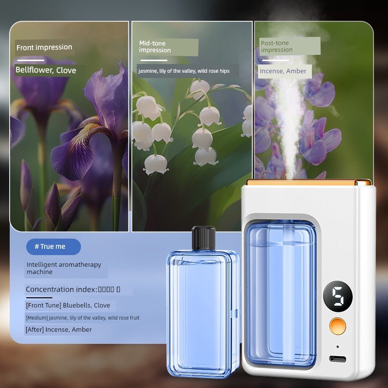Automatic Aerosol Dispenser - aquila Bask
